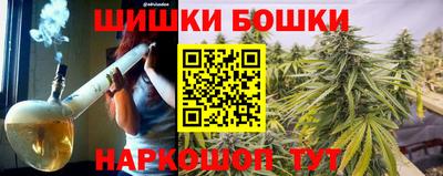 сатива Краснознаменск