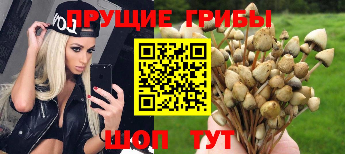 Альметьевск  Псилоцибиновые грибы мицелий  даркнет сайт  Вход с VPN 